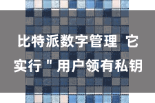 比特派数字管理 它实行"用户领有私钥