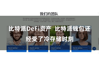 比特派DeFi资产 比特派钱包还经受了冷存储时刻
