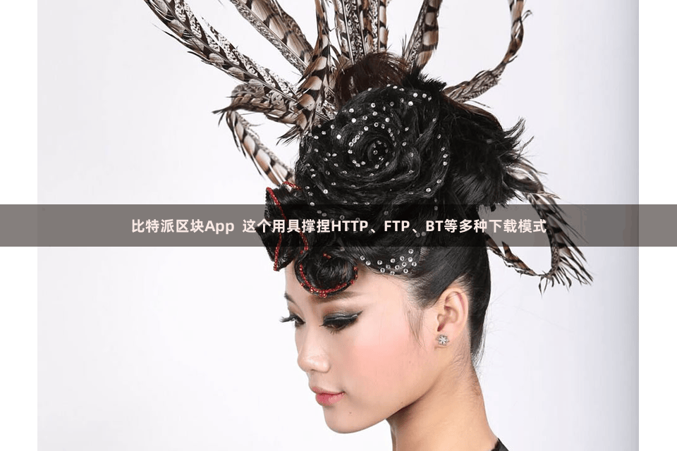 比特派区块App 这个用具撑捏HTTP、FTP、BT等多种下载模式