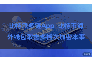 比特派多链App 比特币海外钱包取舍多档次加密本事