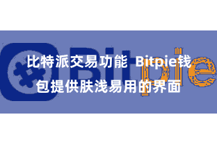 比特派交易功能  Bitpie钱包提供肤浅易用的界面
