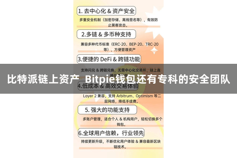 比特派链上资产  Bitpie钱包还有专科的安全团队