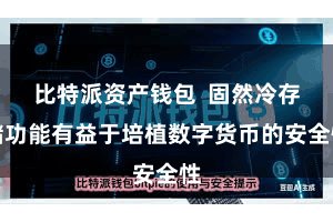 比特派资产钱包  固然冷存储功能有益于培植数字货币的安全性