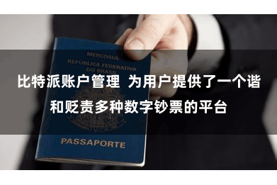 比特派账户管理  为用户提供了一个谐和贬责多种数字钞票的平台