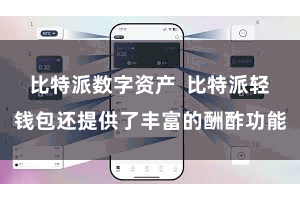 比特派数字资产  比特派轻钱包还提供了丰富的酬酢功能