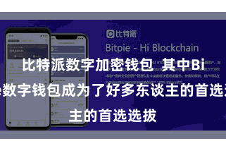 比特派数字加密钱包  其中Bitpie数字钱包成为了好多东谈主的首选选拔