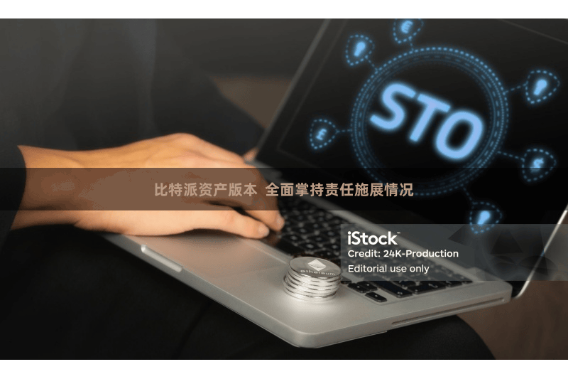 比特派资产版本  全面掌持责任施展情况