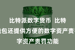 比特派数字货币  比特派币钱包还提供方便的数字资产责罚功能