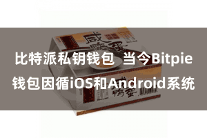 比特派私钥钱包  当今Bitpie钱包因循iOS和Android系统