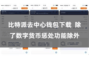 比特派去中心钱包下载 除了数字货币惩处功能除外