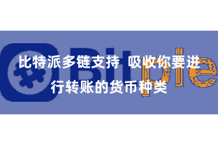 比特派多链支持 吸收你要进行转账的货币种类