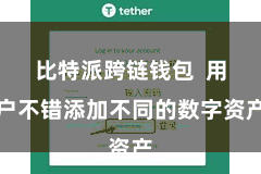 比特派跨链钱包  用户不错添加不同的数字资产