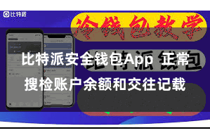 比特派安全钱包App  正常搜检账户余额和交往记载