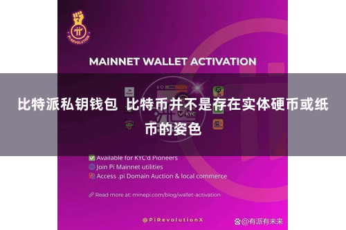比特派私钥钱包  比特币并不是存在实体硬币或纸币的姿色