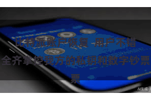 比特派账户恢复  用户不错全齐掌控我方的私钥和数字钞票