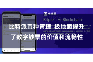 比特派币种管理  极地面擢升了数字钞票的价值和流畅性