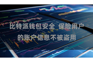 比特派钱包安全  保险用户的账户信息不被盗用