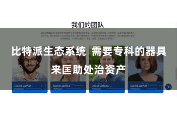 比特派生态系统  需要专科的器具来匡助处治资产